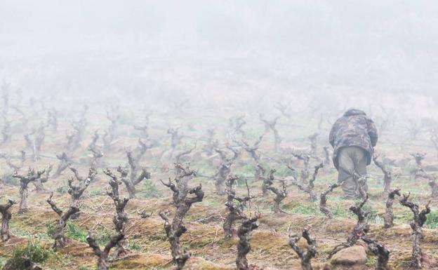 El aviso amarillo por niebla se queda hasta el viernes (de momento)