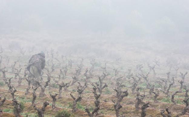 La Rioja vuelve a entrar en aviso amarillo por nieblas