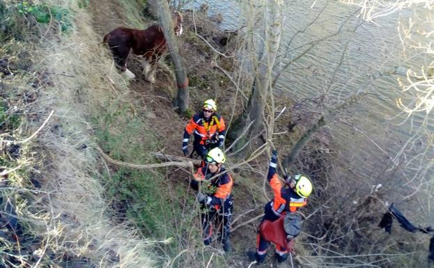Rescatado un caballo que había caído a un terraplén en Briones