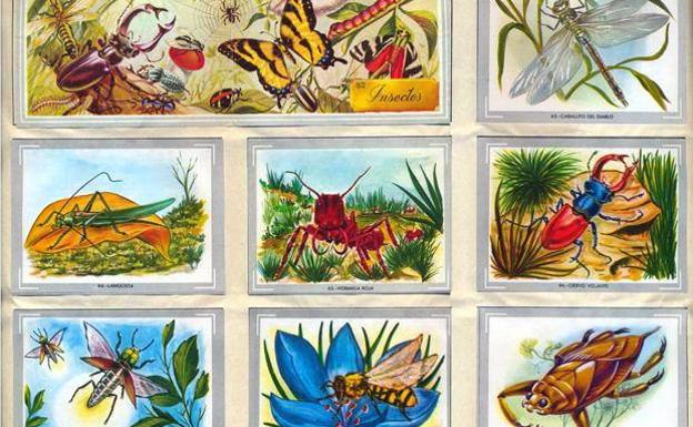 ¿Te acuerdas del álbum de cromos 'Vida y Color'?