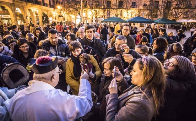 La Rioja protege a sus mascotas