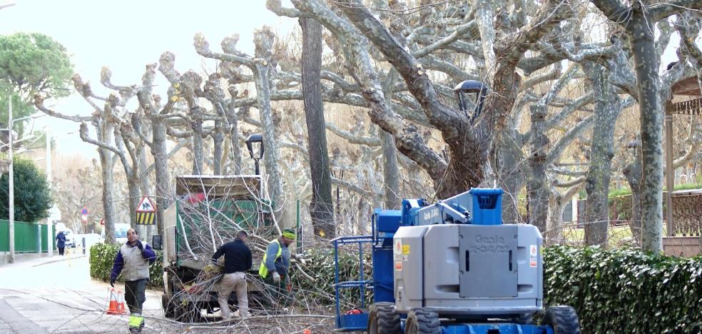 Nájera empieza la poda por el Paseo de San Julián