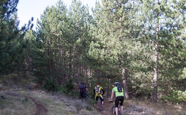 Rescatan a un montañero herido en Nalda