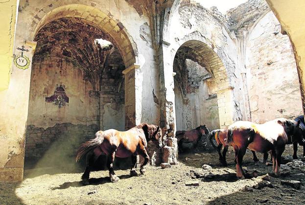La geografía del silencio y las zarzas