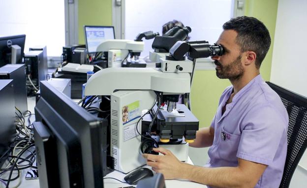 La supervivencia al cáncer supera ya el 55 % en hombres y el 61 % en mujeres