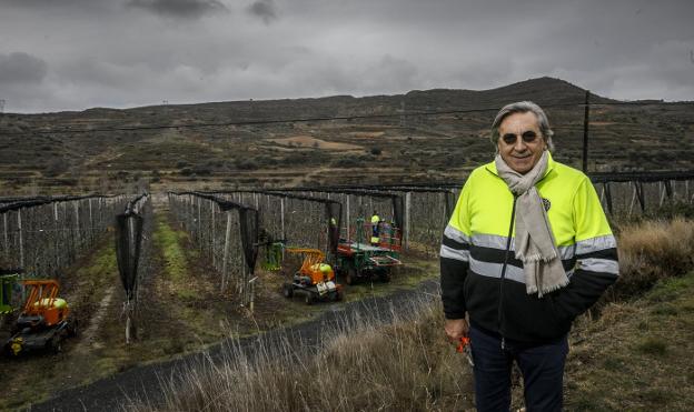 Apuesta por la agricultura