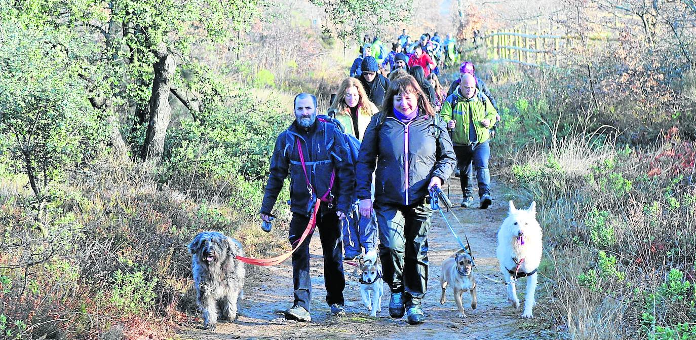 Marcha en busca del manto blanco