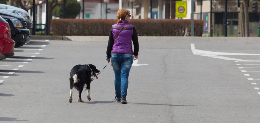 La obligación legal de proporcionar dos paseos diarios a las mascotas se ceñirá solo a los perros