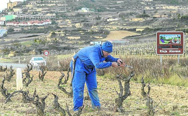 Tan polémico como echarle gaseosa al tinto