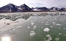 Alerta: el Ártico reverdece