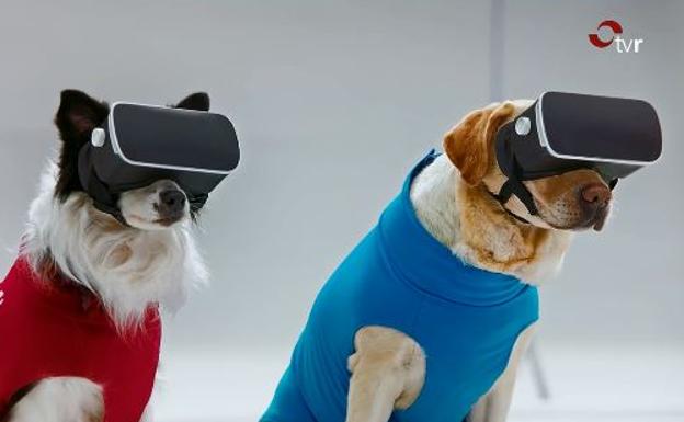 La cacharrería tecnológica: móvil sin google, auriculares y convierte tu Switch en una máquina arcade