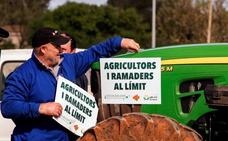 Planas confía en que la PAC compense los bajos márgenes de los agricultores