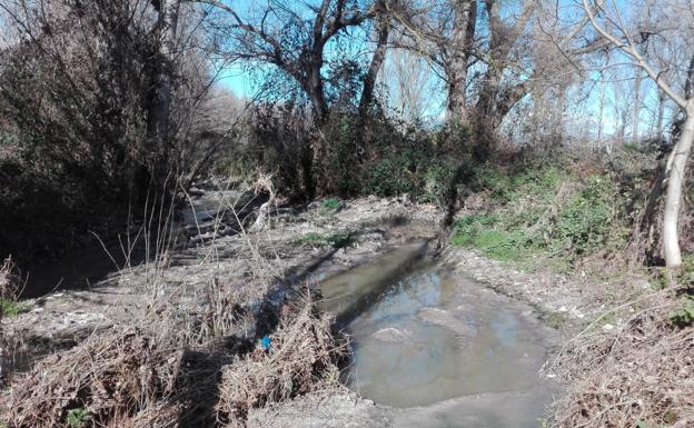 Amigos de la Tierra denuncia vertidos sobre el río Iregua que considera «imperdonables»