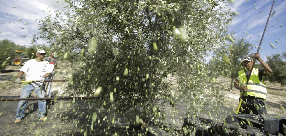 Los agricultores plantearán hoy a Trabajo una mejora en los requisitos de acceso al PER