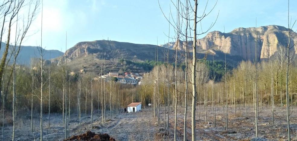 Mejora de la captación de agua de Bobadilla