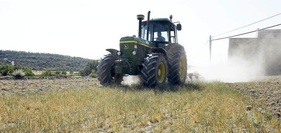 Papel higiénico sin tubo de cartón o zumos de frutas descartadas, las mayores innovaciones del año