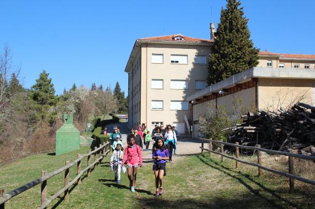 Ribavellosa, la gran oportunidad