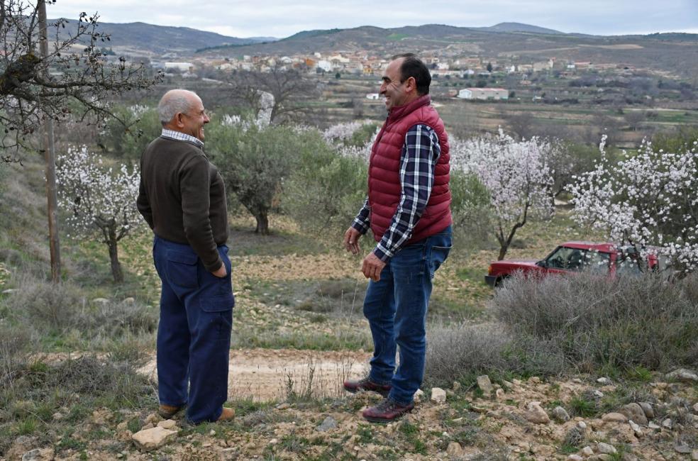 La alternativa verde