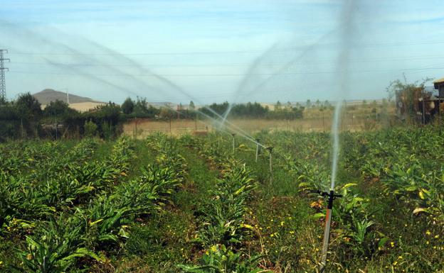 Se amplía hasta el 15 de mayo el periodo para la presentación de la solicitud única