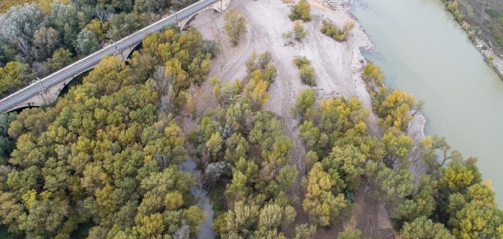 La CHE abre ramales en las orillas del Ebro en Alfaro para reducir los riesgos