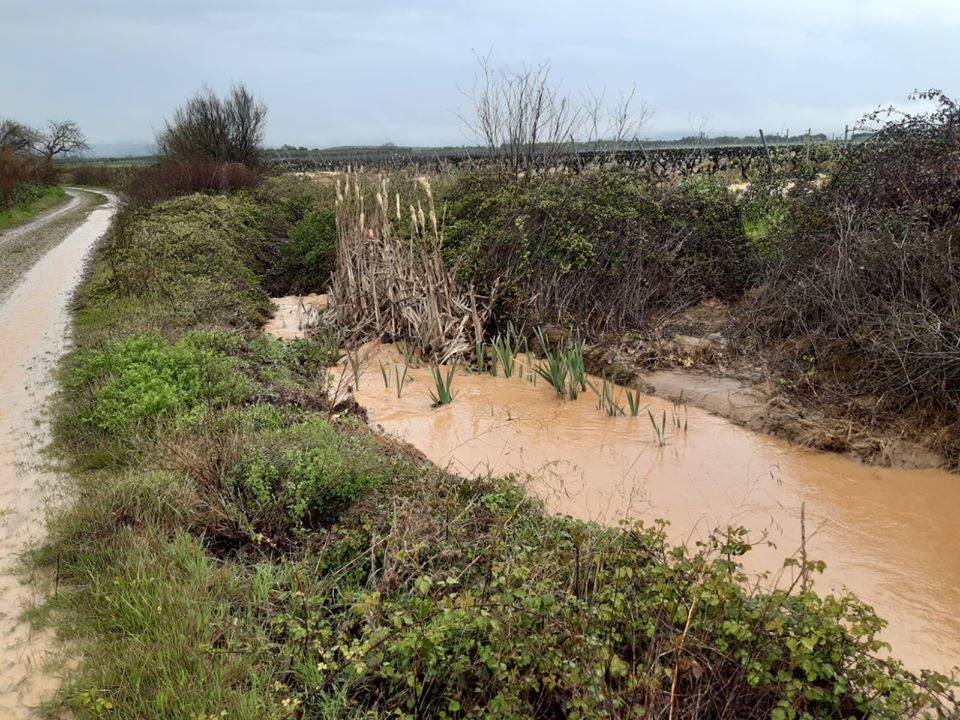 La lluvia provoca inundaciones en el regadío de Corera