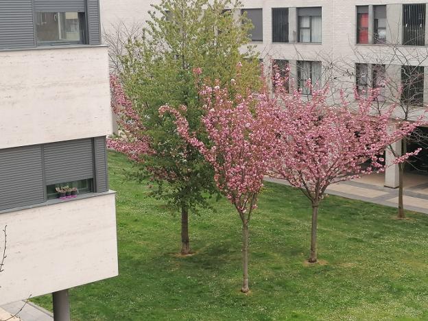 Haro a vista de ventana