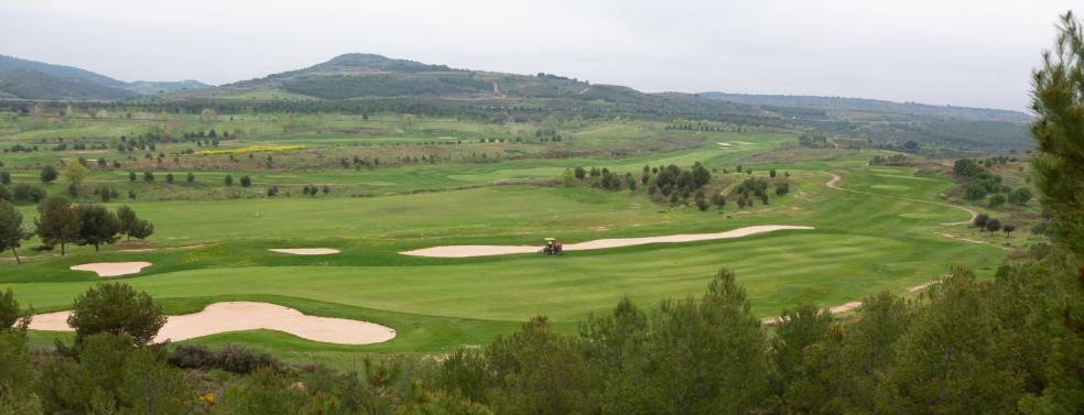 Muchos mimos al verde