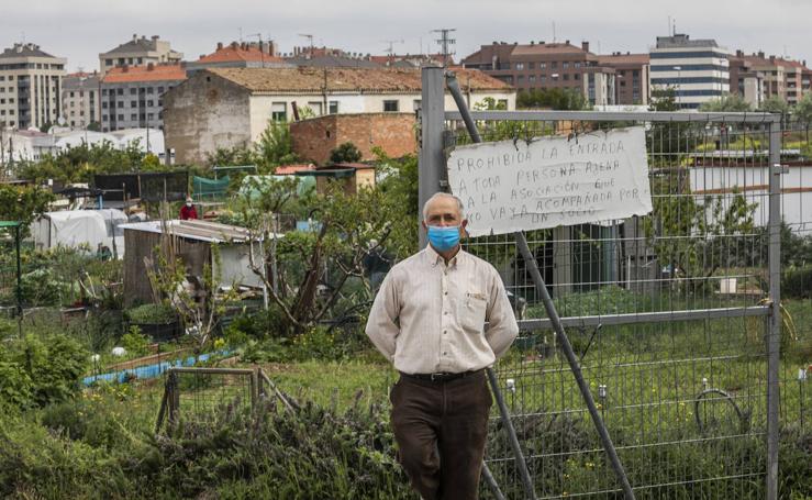 El regreso a los huertos en la crisis del coronavirus