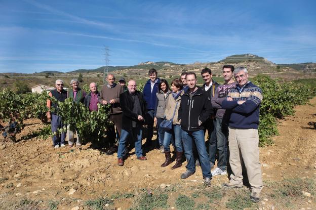 Los trabajos para el tendido 'Haro Norte' durarán dos meses