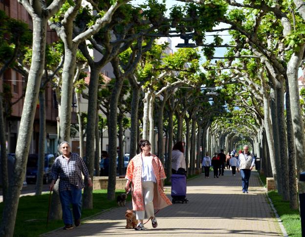 Coronavirus en La Rioja: Vecinos de todos los rincones recorrieron ...