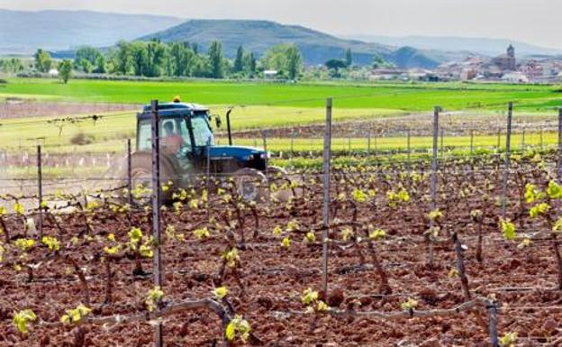 La Rioja recibirá 10,2 millones de fondos europeos y del Gobierno para agricultura y ganadería