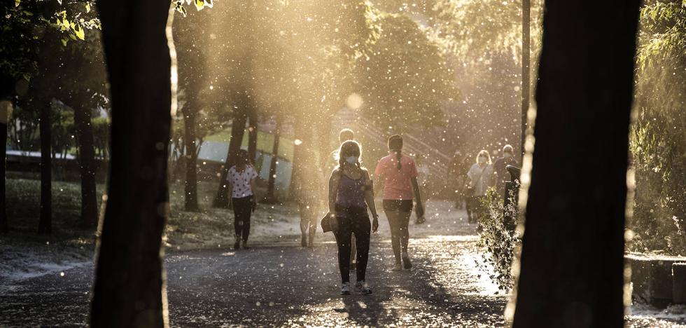 «La gente no tiene claras las normas»