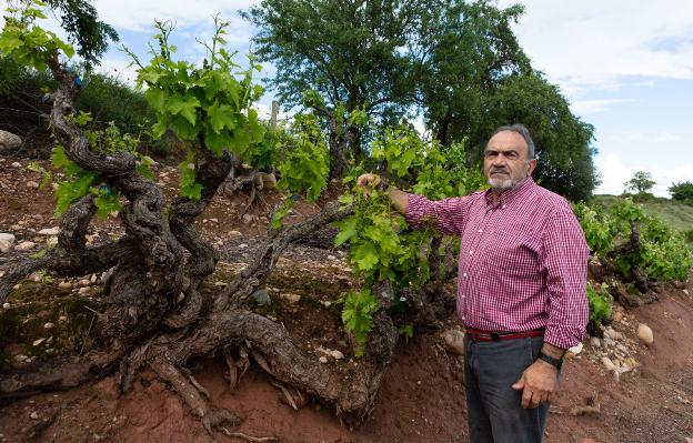 «Nunca había visto un campo tan triste y solitario como el de estas semanas»