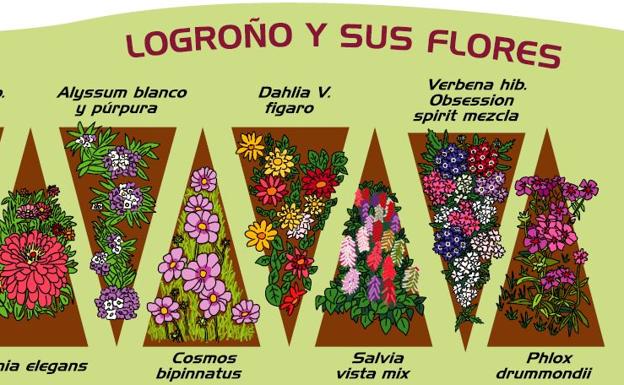 El Ayuntamiento colocará 45.000 plantas flor de verano en Logroño