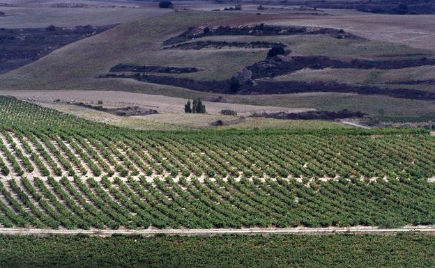 Rioja Alavesa protege sus vinos