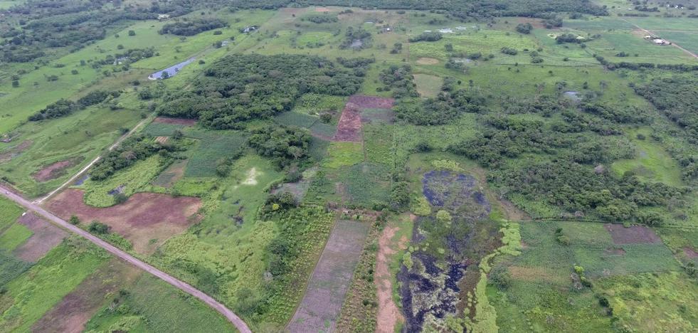 Descubren la estructura maya más grande y antigua de México