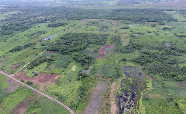 Descubren la estructura maya más grande y antigua de México