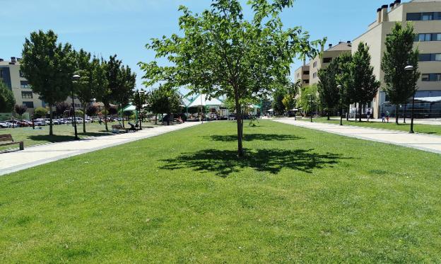 Preocupación por la aparición de garrapatas en zonas verdes de Haro