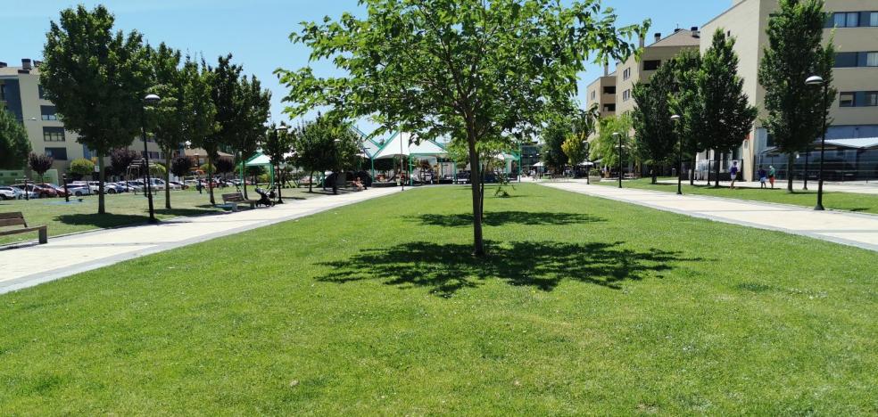 Preocupación por la aparición de garrapatas en zonas verdes de Haro