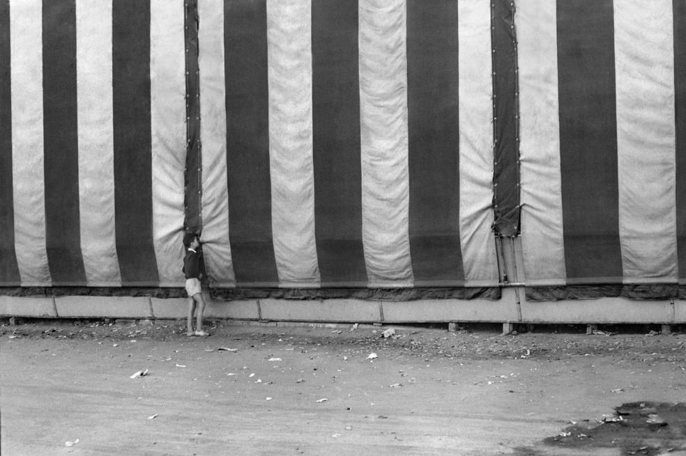 'Teo, Teo, ¿qué ves?' acudirá al Cinespaña 2020 de Toulouse