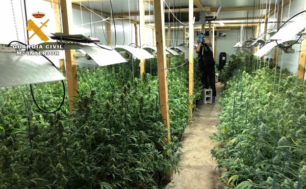Desmantelada una red que distribuía 1.800 kilos de cannabis al año en La Rioja y País Vasco