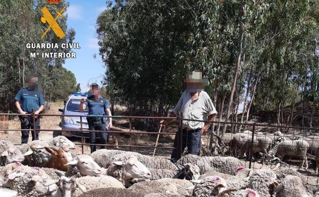 Investigado un vecino de Logroño implicado en la venta fraudulenta de ganado