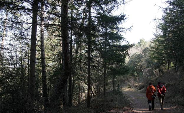 Ribavellosa reabre con actividades de educación ambiental gratuitas