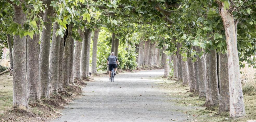 Recta final de la mejora del paseo de Los Molinos