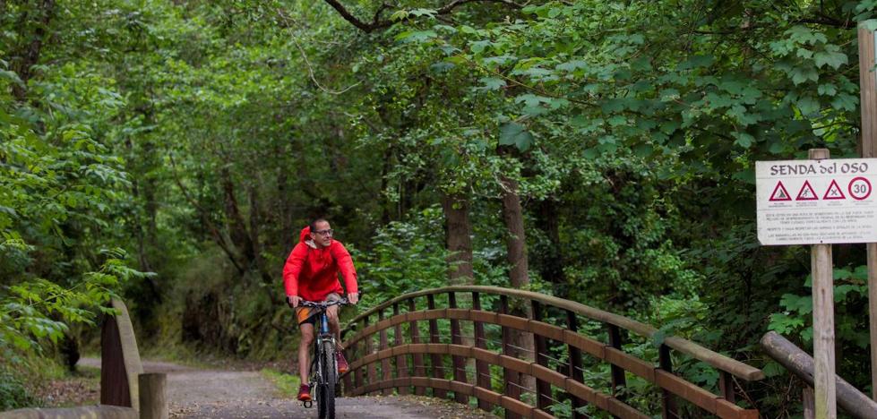 Los españoles viajarán en su coche y a destinos de interior y naturaleza