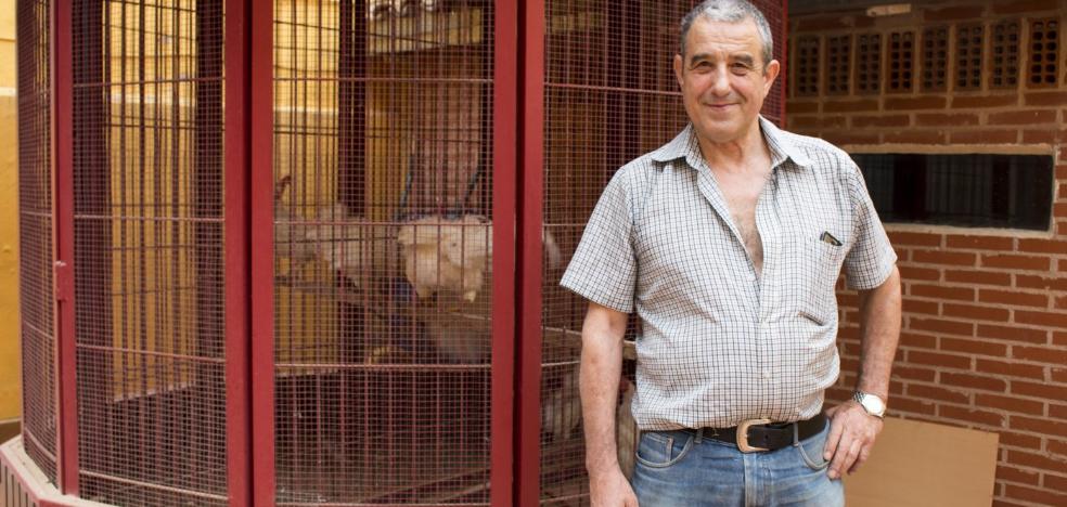 «Estuve danzando al Santo y ahora es un orgullo poder cuidar al gallo y la gallina»