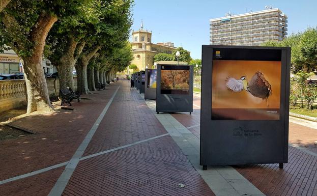 La 'Naturaleza de La Rioja' ocupa la Plaza de España de Santo Domingo