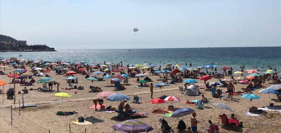 Benirdorm, la playa ordenada