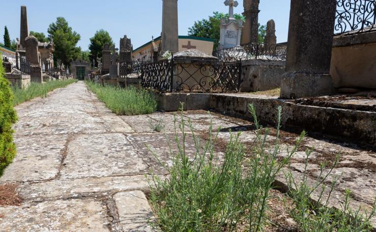 El cuidado de los jardines de Logroño, en tela de juicio