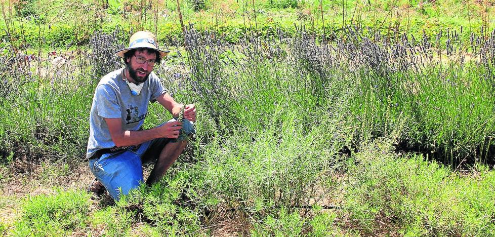 El arca biológica de Álex